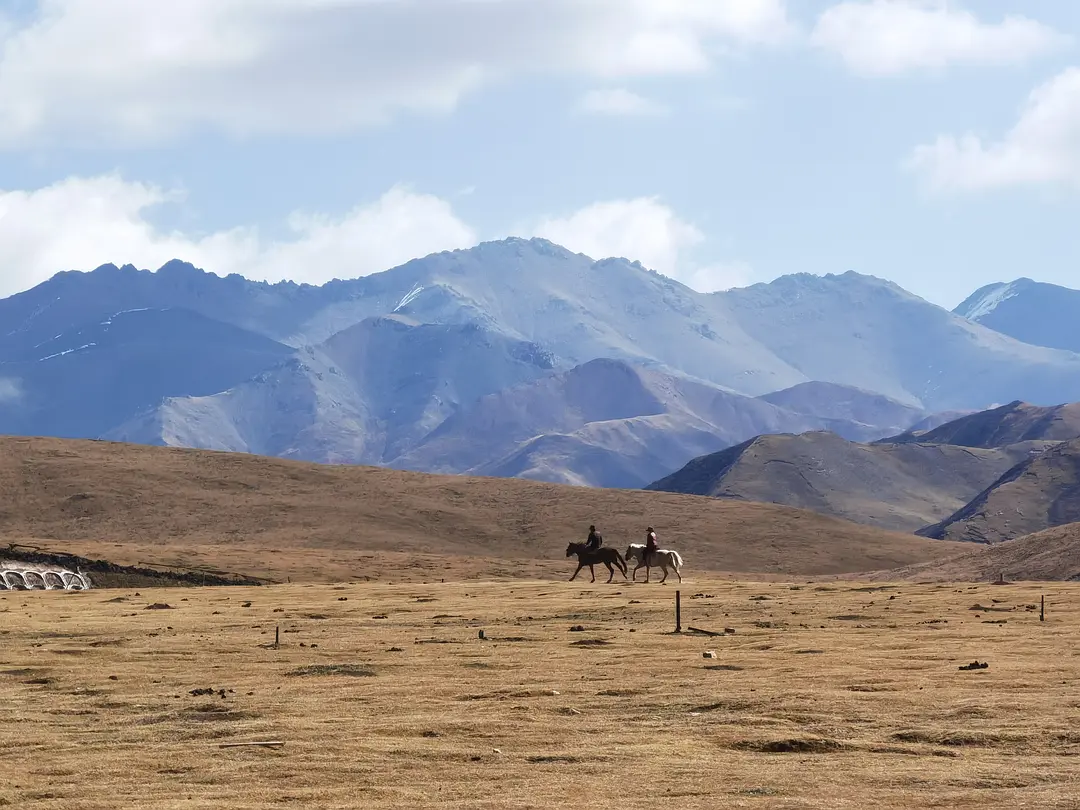 甘肅敦煌逐西教您婚車租賃公司選擇及婚車租賃如何節(jié)約成本？