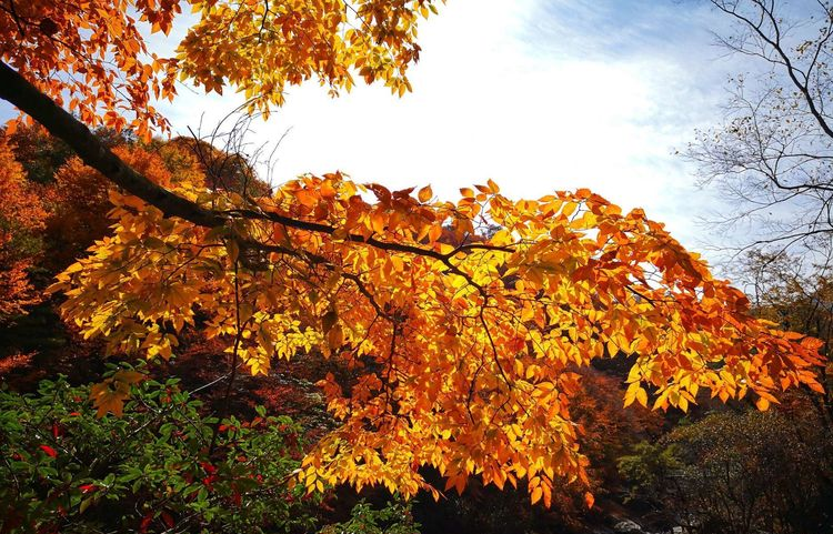 女性敦煌租車出行時(shí)要注意什么？