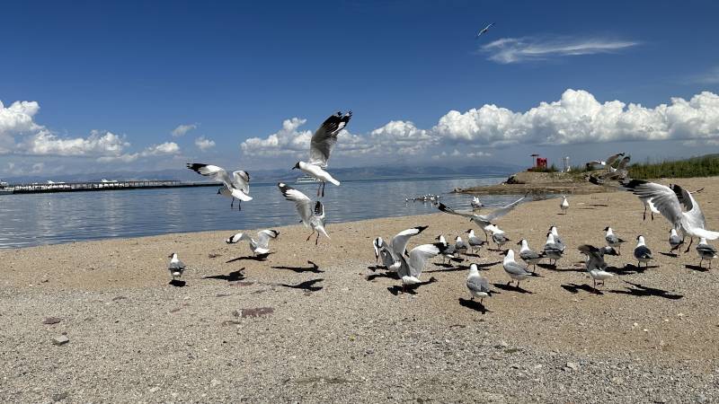 敦煌租車價(jià)格明細(xì)表