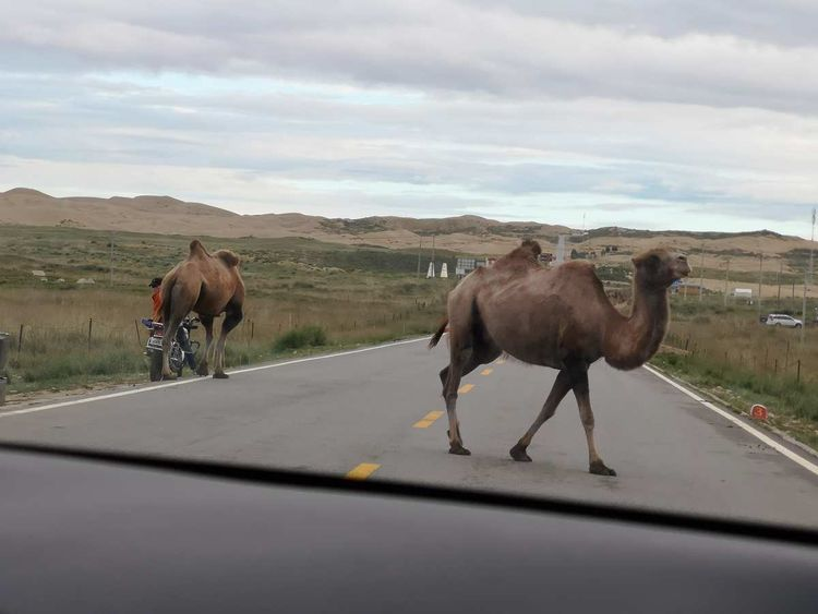 敦煌租車(chē)公司教你預(yù)防爆胎方法？