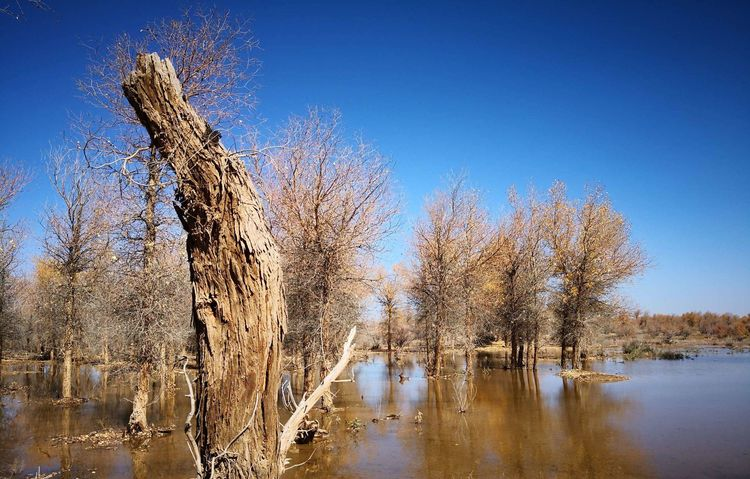 敦煌租車(chē)公司對(duì)租車(chē)時(shí)建議及一些注意事項(xiàng)？