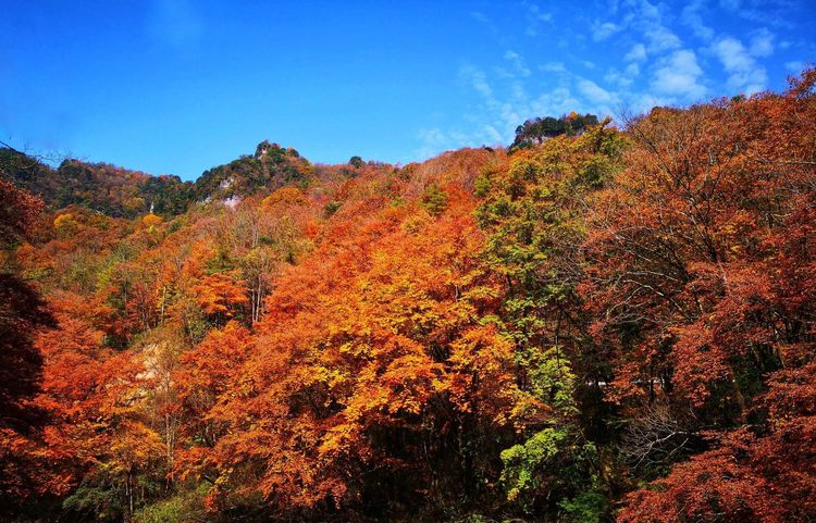 敦煌租車公司哪家好？求推薦
