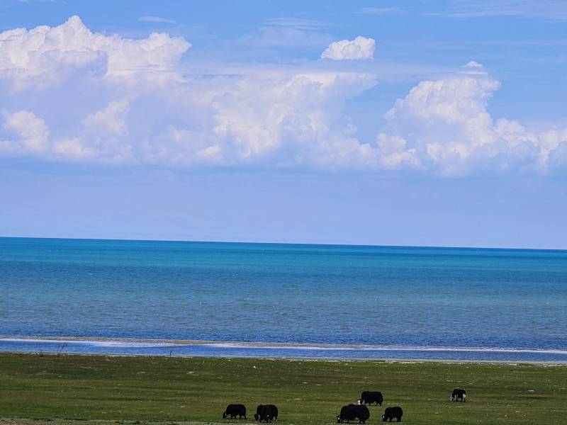 敦煌包車公司告訴您代駕租車車型選擇和驗車一樣很重要？