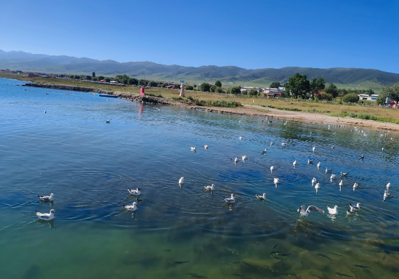 敦煌包車哪種租車方式適合分時租車？