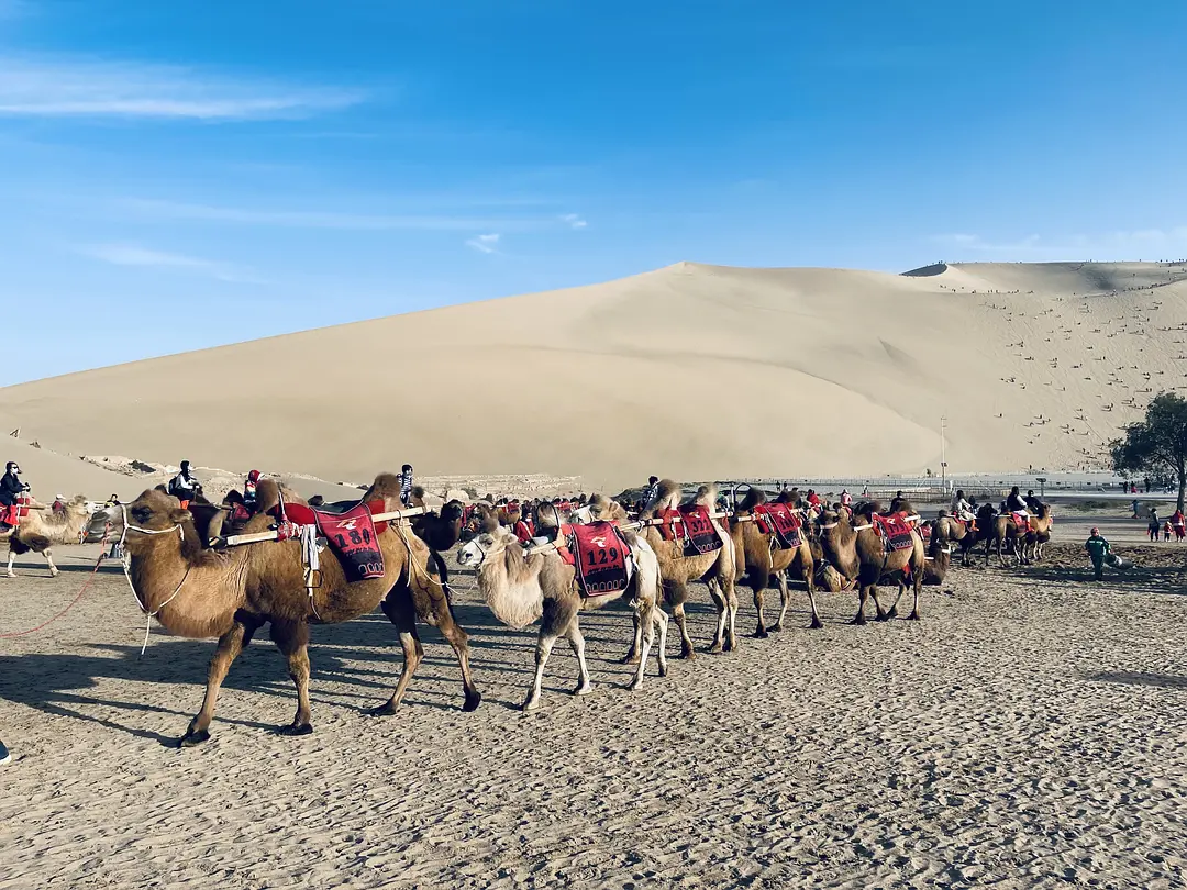 敦煌逐西租車公司：租車注意事項(xiàng)?