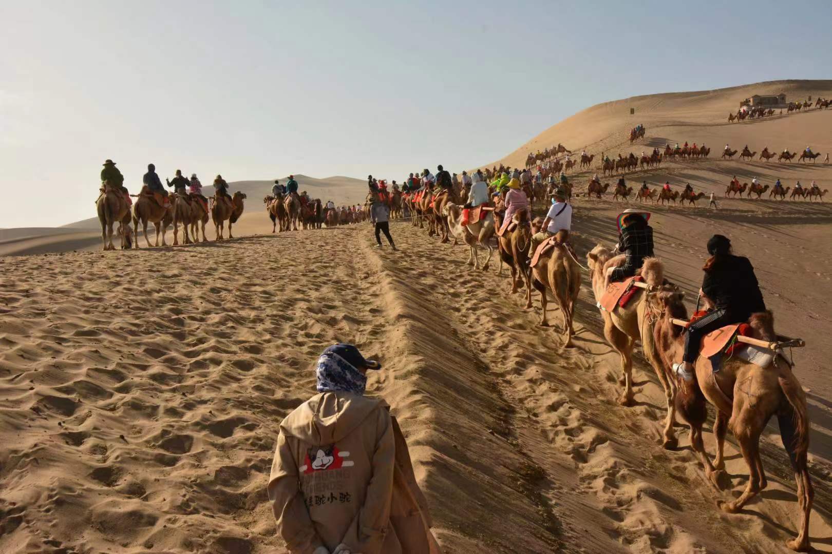 敦煌租車:買車、打的還是租車好？哪個更劃算