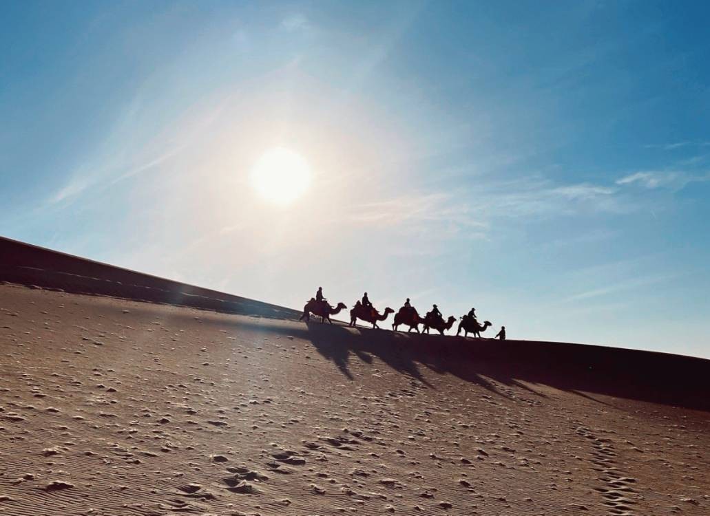 敦煌租車公司手把手教你車險(xiǎn)理賠流程與技巧