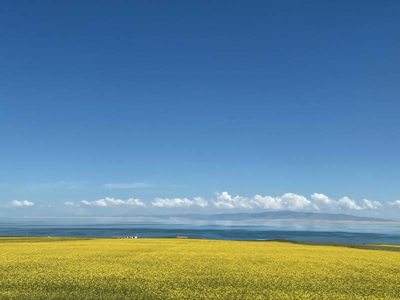 推薦一位好評比較多的甘肅包車師傅