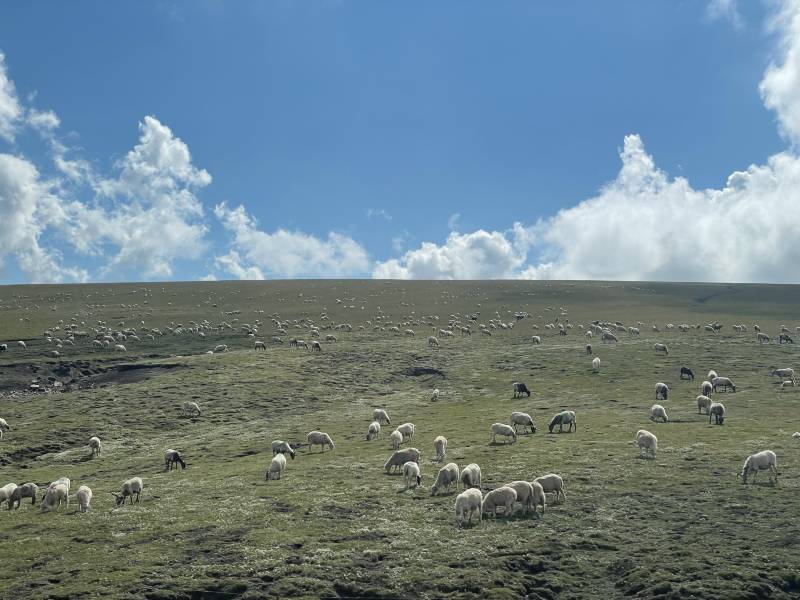 推薦一位甘肅旅游包車師傅