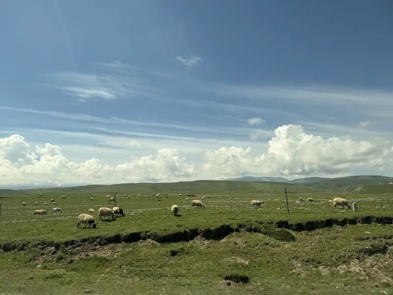甘肅旅游包車公司-提供甘肅蘭州旅游租車包車