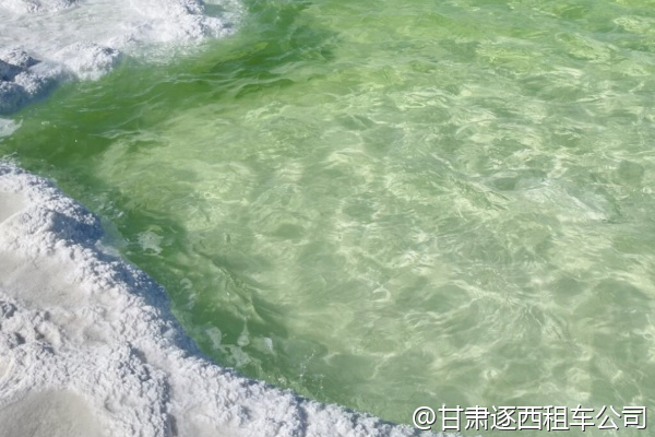 公司會議結束后想包車游覽敦煌，半天時間夠嗎？  