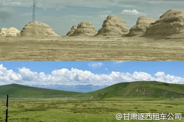 包車費用是否包含油費和司機工資？  