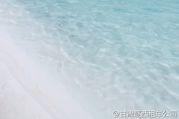 我們想租一輛大巴做婚慶用車，能裝飾嗎？  